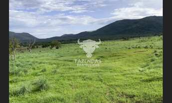 Imagem 4: FAZENDA PARA PECUÁRIA DE 563 ALQUEIRES (4.84) EM MONTE ALEGRE DE GOIÁS – GO