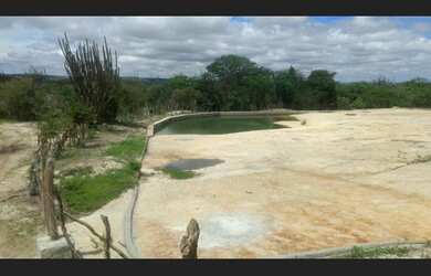 Imagem 4: ????Sitio a Venda no Sitio Bravo, municipio de Pocinhos.????????????????????