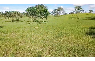 Imagem 5: 50 Alqs p Soja ou Pecuária Ótima Logística Vale do Araguaia TO