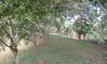 Imagem 6: Chácara Chácara com 2 dormitórios