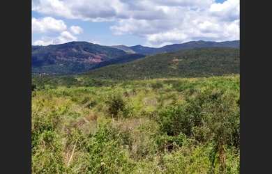 Imagem 3: Terreno Espetacular em Campo Formoso - 19.500 m²