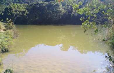 Imagem 3: Fazenda de 49 há em Itatiaiuçu