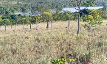 Imagem 7: Vendo ou Troco Lote em Felixlândia (KM374 da rodovia