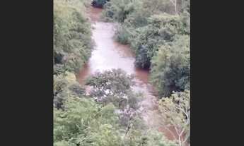 Imagem 3: Chácara 2 alqueires a 5 Kilometros da cidade de jardim alegre a 2 km do asfalto