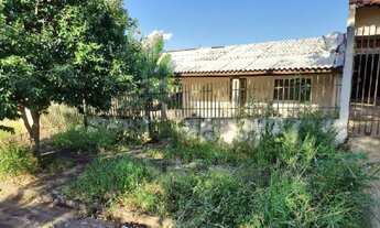 Imagem: COLORADO  PR