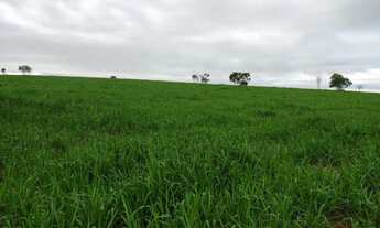 Imagem 4: Fazenda em Barra do Garças-MT