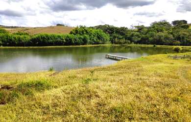 Imagem 8: Fazenda de 72 há em São Tiago MG