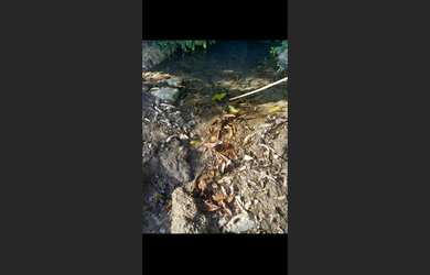 Imagem 11: Fazenda d 30 há em Carmo da Mata MG