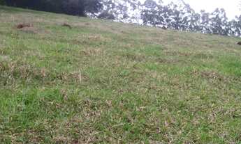 Imagem 6: Terreno de 10 ha em Oliveira