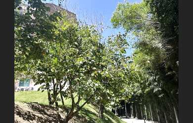 Imagem 3: Apartamento com 2 dormitórios à venda, 71 m² - Samambaia - Petrópolis/RJ