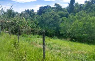 Imagem 3: TERRENO EM POUSO SECO