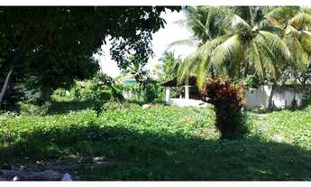 Imagem: Casa com terreno e 2.000m² em Barra de