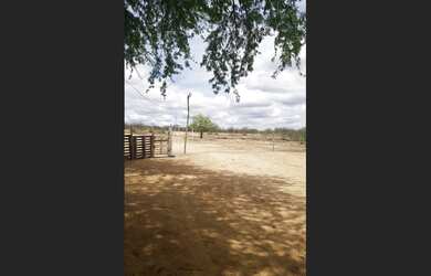 Imagem 3: TERRENO EM CRATEÚS-CE COM 500 m2