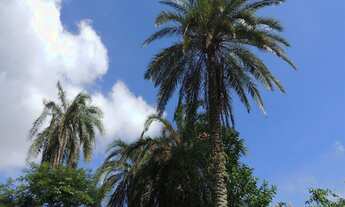 Imagem 3: Fazenda Fillomena - Lotes a partir de 370m² em condomínio pronto - Badu / Niterói