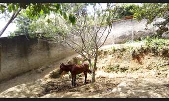 Imagem: Terreno em Florianópolis no bairro Pantanal