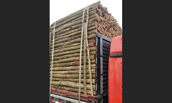 Imagem 3: VENDO ESTACAS SABIÁ , MOURÕES , ESTICADORES