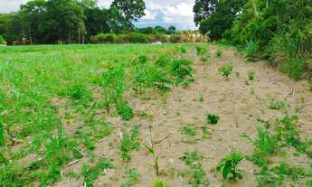 Imagem: VENDO TERRENO COM 2.500M² E ÓTIMA LOCALIZAÇÃO