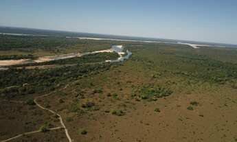 Imagem 4: 888 Alqs Arrendamento Disponivel Pra Soja Vale do Araguaia TO