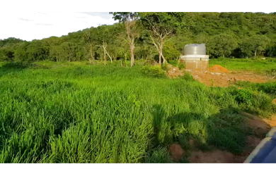 Imagem 5: 290 Alqs Boa Água Terra e Logística Região Palmeirópolis TO