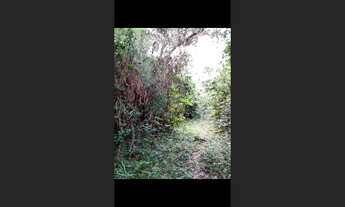 Imagem 2: Terreno de 40 ha em Itaguara MG