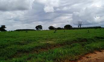 Imagem 6: Fazenda em Barra do Garças-MT