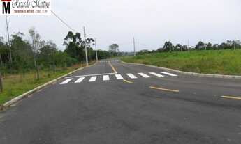 Imagem 4: Terreno a venda ideal para construção de pavilhão Quarta Linha Luiz Rosso
