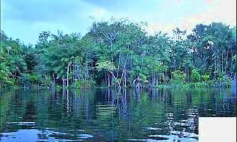 Imagem 2: Fazenda 12 mil hectares em Marajó pra lavoura de arroz por R$ 8 milhões