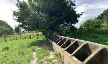 Imagem 6: Fazenda em Conceição do Jacuipe