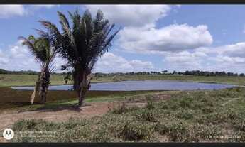 Imagem 6: 200 Hectares pronta e documentada fica no sentido Capanema
