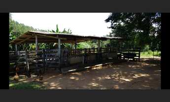 Imagem 4: Fazenda de 128 há em Resende Costa MG