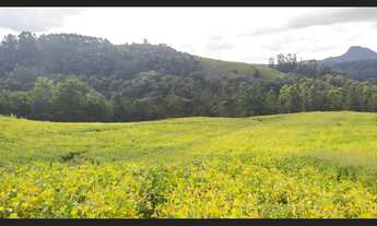 Imagem: Terreno rural em Santa Terezinha - SC
