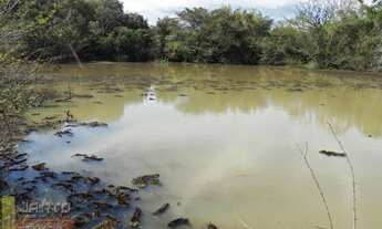 Imagem 2: Lindo Sitio de Lazer em Viamão