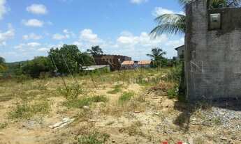 Imagem 3: Terreno na Praia de Pirangi, Murado, rua pavimentada. 500m²