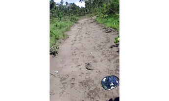 Imagem 3: 220 Alqs Planta Toda Córregos Chapadão Plana Amarelo e Preto Dianópolis TO