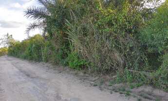 Imagem: Área para loteamento em Irará