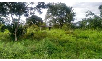 Imagem 7: Vendo!!!, fazenda com 149 Hectares na região da cidade de Rondonópolis-Mato Grosso-MT