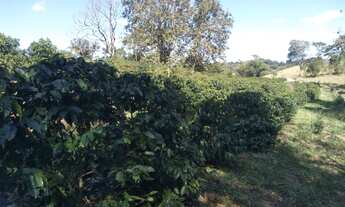 Imagem 7: Sítio de 1 Alqueire Formado em Café e abacate no Sul de Minas Gerais