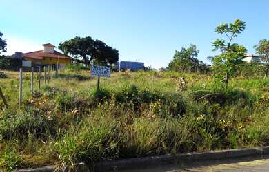 Imagem 5: Passa-se financiamento terreno de 1000 mil metros