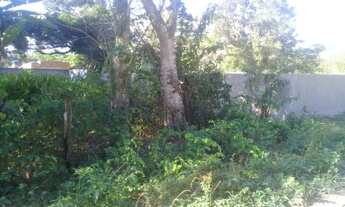 Imagem 6: Oportunidade ) 2 ótimos terrenos em local plano, 50 metros do asfalto (via principal