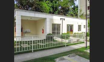 Imagem 7: APARTAMENTO EM JARDIM PRIMAVERA