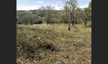 Imagem 2: Chácara próximo ao Distrito de São Domingos - Apucarana/PR