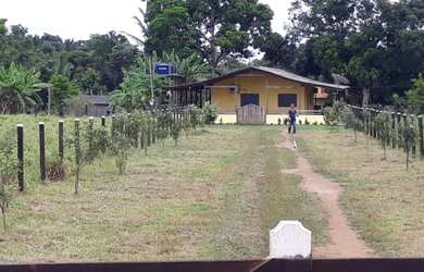 Imagem 4: Arrendo e ou Alugo casa e terreno . 60000 metros quadrados Setor Chacareiro Porto Velho