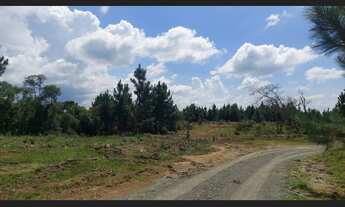 Imagem: Fazenda à Venda 488,86 hectares Aptidão