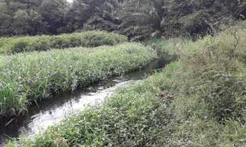 Imagem: Fazenda em Alagoinhas-Ba