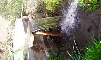 Imagem 4: FAZENDA/ENGENHO Fazenda / sítio com 5 dormitórios