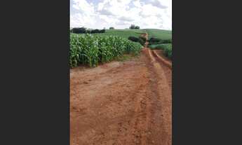 Imagem 5: Vende-se lote de terra ROXA entre Boa Esperança e Farol - 42,8 alqueires/103 hectares