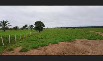 Imagem 3: Fazenda com 400 hectares no Pará sentido Bragança pronta por R$2,5 milhões