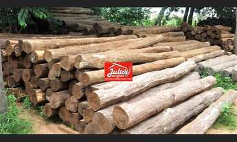 Imagem 6: Madeiras de acapu a venda esticadores mourões para currais