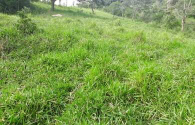 Imagem 5: Terreno de 3 há em Passa Tempo MG