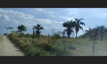 Imagem: Sitio com 17 Hectares na Serra de São Vicente